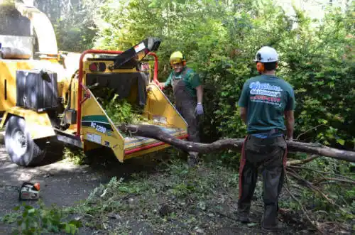 tree services Kent Acres